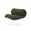 Plyšová deka, 127 x 152 cm, zelená