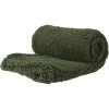 Plyšová deka, 127 x 152 cm, zelená