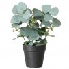Umělá rostlina SAGE, eukalyptus v květináči, 30 cm, vzor 2