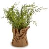 Umělé bylinky v květináči, 17,7 cm, ideální do kuchyně
