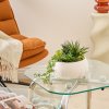 Umělé sukulenty v keramickém květináči s mramorovým vzorem, výška 18 cm