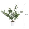Dekorativní olivovník, 58 cm