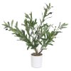 Dekorativní olivovník, 58 cm