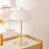 Lampa DELCIA, Ø 30 x 45 cm, kov