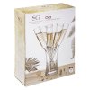 Skleničky na šampaňské, 6 kusů v sadě