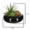 Umělé rostliny, sada umělých sukulentů, 20 cm