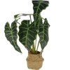 Umělá květina v košíku ALOCASIE, 51 cm