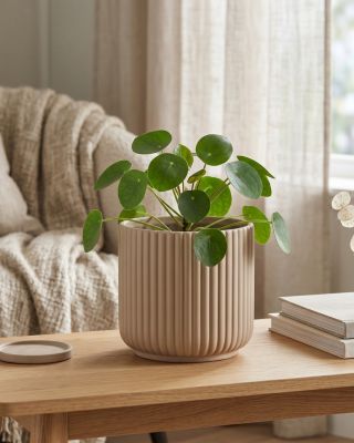 Dolomitový květináč NURIA je skvělou volbou pro ty, kdo mají rádi jednoduchý design a jemné detaily 🌿 Svislé vroubkování...