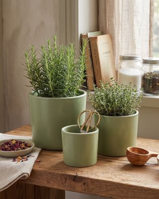 🌿 Oživte svůj domov zelení! Sada 3 keramických květináčů v elegantní zelené barvě dodá styl každé rostlině — doma, na...