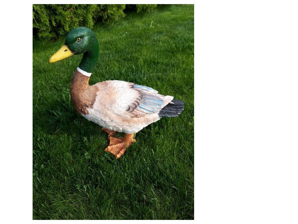 Bez názvu
