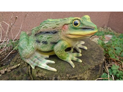Žába velká zelená 27 x 22 cm