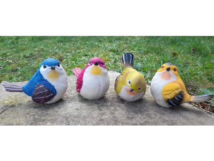 Barevný ptáček polyston