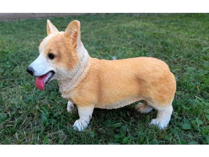 Pes Welsh Corgi