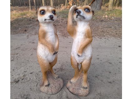 Surikata stojící velká 2 druhy