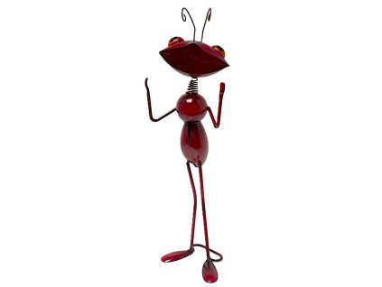 Mravenec hnědočervený s tykadly velký