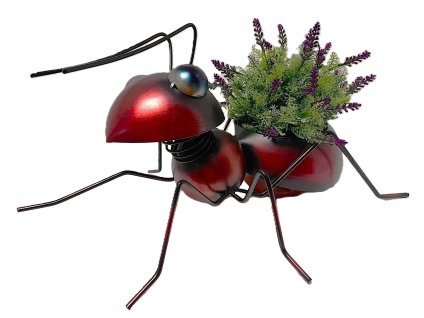 Mravenec na květináč hnědočervený