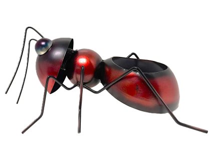 Mravenec hnědočervený s květníkem velký