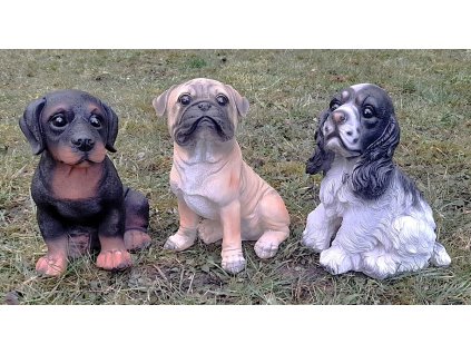 Pes sedící velký 3 druhy