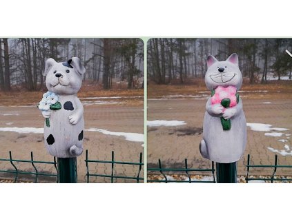 PHOTO 2026 01 25 19 44 42