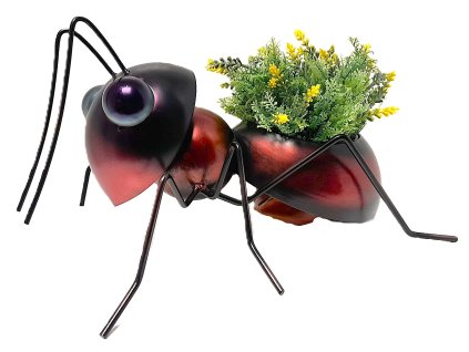 Mravenec na květináč hnědočervený velký