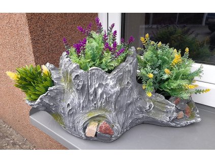 Obal pařez s mechem a kameny