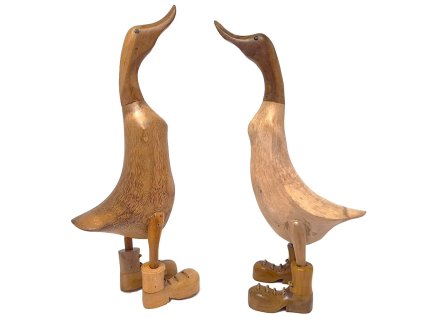 Kachna v botách světlá velká