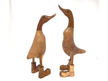 Kachna v botách světlá střední