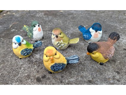Ptáček barevný malý 6 druhů