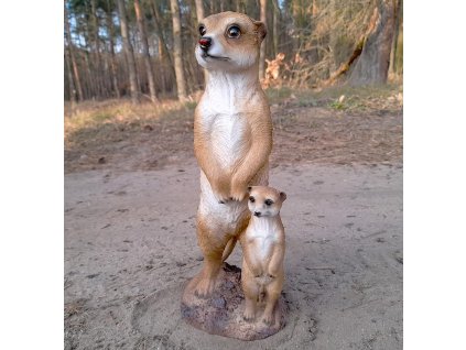 Surikata s mládětem stojící velká