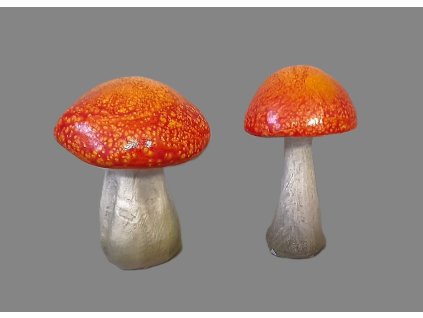 Houba oranžový klobouk 2 druhy