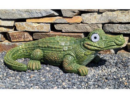 Krokodýl solární oči