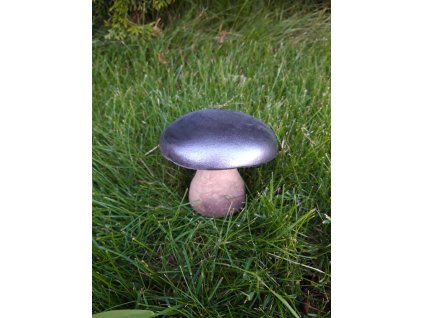 stažený soubor (14)