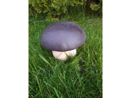 stažený soubor (17)