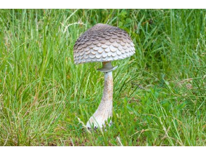 stažený soubor (23)