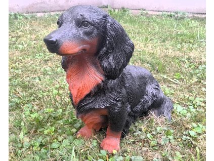 Pes sedící jezevčík