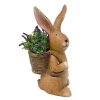 Zajíc s nůší hnědý velký