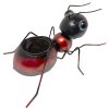 Mravenec na květináč hnědočervený
