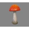 Houba oranžový klobouk 2 druhy