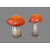 Houba oranžový klobouk 2 druhy