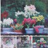 1900040 249, OUTDOOR 1 12
