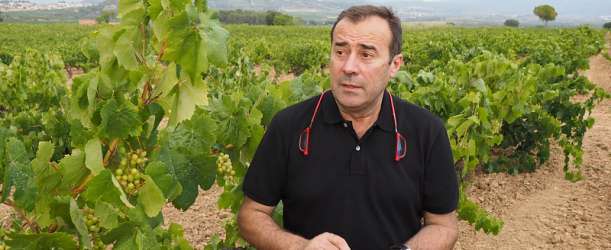 (ne)VINNÝ NIGHT SHOPPING