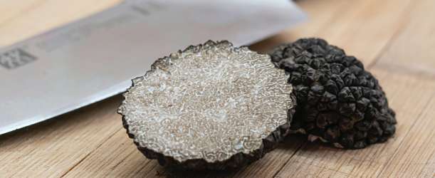 Lanýže: Fascinující lahůdka s jedinečnou chutí, kterou můžete zařadit i do svých receptů