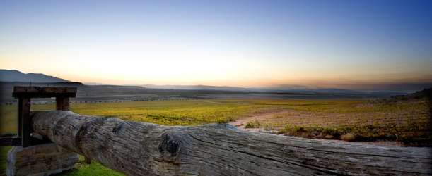 Vinařské oblasti Španělska: Navarra