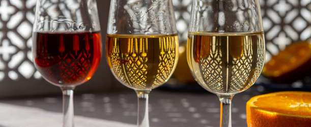 Sherry pro začátečníky — objevte století starý nápoj plný vášně