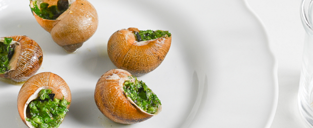 Jak připravit šneky v nálevu