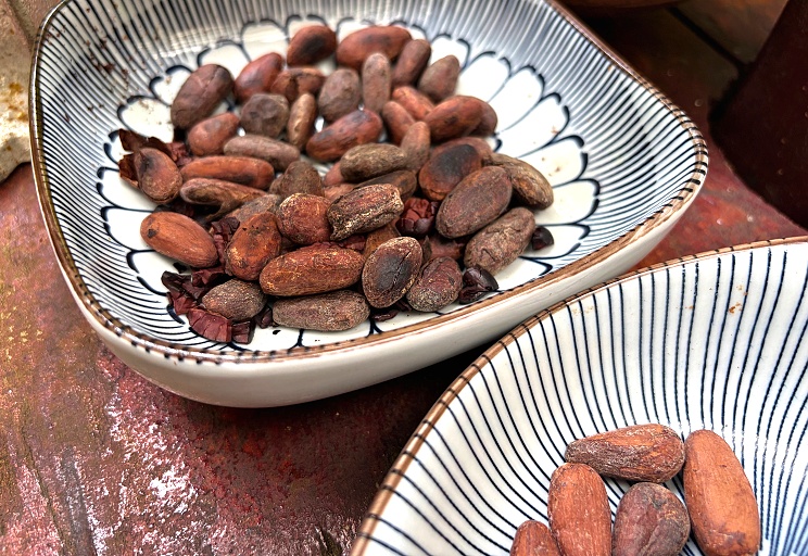 Od bobu k tabulce: jak vzniká fair trade kakao a bean-to-bar čokoláda (receptyonline.cz)