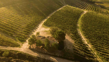 Víno bez kompromisů: Proč jsou vína z Pago de Carraovejas skvělou volbou pro lidi s nízkohistaminovou dietou