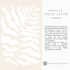 coco 3
