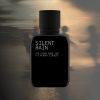 silent rain 2