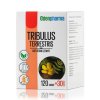 Tribulus 120+30 tbl SK